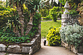 Stone walls and garden of Duino Castle with a cat on the walkway; Italy