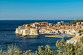 Blick auf die Festung Lovrjenac und die Altstadt von Dubrovnik; Dubrovnik, Gespanschaft Dubrovnik-Neretva, Kroatien.