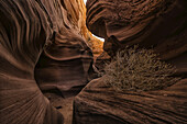 Slot Canyon bekannt als Rattlesnake Canyon; Page, Arizona, Vereinigte Staaten von Amerika