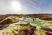 Saure Tümpel, mineralische Formationen, Salzablagerungen im Krater des Dallol-Vulkans, Danakil-Senke; Afar-Region, Äthiopien