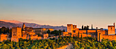 Alhambra, eine Palast- und Festungsanlage, in der Abenddämmerung; Granada, Andalusien, Spanien