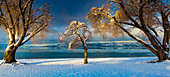 Winter im Okanagan Valley am Strand von Kelowna; Kelowna, British Columbia, Kanada.