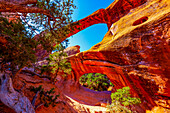 Rock formations in Arches National Park; Utah, United States of America