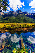 Reflektionen im ruhigen Wasser der Mirror Lakes; Neuseeland.