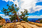 North Rim, Grand Canyon, Grand Canyon National Park; Arizona, Vereinigte Staaten von Amerika