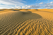 Surface of sand rippled by wind erosion, Great Sandhills Ecological Reserve; Val Marie, Saskatchewan, Canada