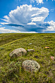 Vast landscape stretching to the horizon in Grasslands National Park; Val Marie, Saskatchewan, Canada