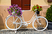 Ein weißes dekoratives Fahrrad an einer Mauer mit blühenden Blumen in Töpfen; Hermannstadt, Siebenbürgen, Rumänien.