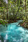 Kali Biru (Blauer Fluss); West Papua, Indonesien