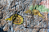 Nahaufnahme von Tieren auf dem Wandgemälde der Vorgeschichte, Vinales-Tal; Kuba.