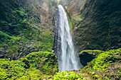 Pelangi-Wasserfall; Ost-Java, Indonesien