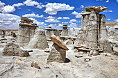 Einzigartige Felsformationen, Bisti Badlands, Bisti/De-Na-Zin Wilderness, San Juan County; New Mexico, Vereinigte Staaten von Amerika