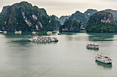 Ha Long Bucht mit Booten; Quang Ninh Provinz, Vietnam