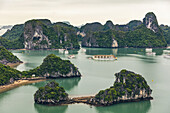 Ha Long Bucht mit Booten; Quang Ninh Provinz, Vietnam