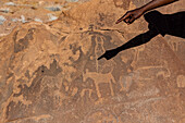 Hand und Schatten eines Mannes zeigen auf eine alte Felsgravur, Twyfelfontein, Damaraland; Kunene Region, Namibia.