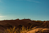 Silhouetted tourist stands looking out at the top of a sand dune, Elim dune, Namib Desert; Sesriem, Namibia