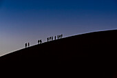 Silhouette von Touristen beim Besteigen der Düne 45 in der Abenddämmerung, Sossusvlei, Namib-Wüste; Namibia.
