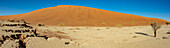 Deadvlei, eine weiße Lehmpfanne, umgeben von den höchsten Sanddünen der Welt, Namib-Wüste; Namibia.