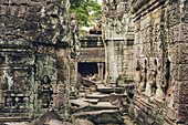 Preah-Khan-Tempel im Angkor-Wat-Komplex; Siem Reap, Kambodscha.