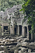 Ta-Prohm-Tempel im Angkor-Wat-Komplex; Siem Reap, Siem Reap, Kambodscha.