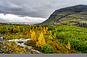 Herbstfarben in einer Landschaft in Ostisland; Djupivogur, Ostregion, Island