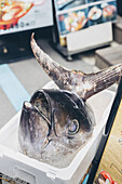 Thunfischkopf, Tokio Fischmarkt, Tokio, Japan