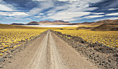 Gravel road leads to a high altitude laguna in the middle of a colourful landscape; San Pedro de Atacama, Antofagasta, Chile