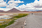Two people walk along a road past flamingos on Laguna Colorada, Eduardo Avaroa National Park; Potosi Department, Bolivia