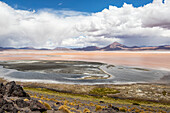 Laguna Colorada, Eduardo-Avaroa-Nationalpark; Departement Potosi, Bolivien.