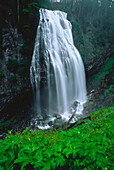 Narada Falls Mount Rainier National Park Washington, USA