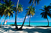 Emerald Palms Resort, South Andros, The Bahamas