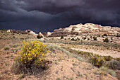 Canyonlands Utah, USA
