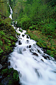 Wahkeena Falls Columbia Gorge, Oregon, USA