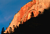 Sonnenuntergang im Zion Canyon, Zion National Park Utah, USA