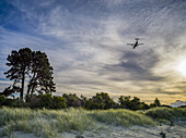 An airplane flies over Tahunanui Beach at sunset; Nelson, South Island, New Zealand