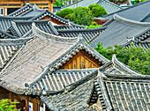 Traditional tile roofs line the skyline in the Jeonju Hanok Heritage Village on a summer day; Jeonju, Jeollabuk, Republic of Korea