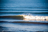 Surfer riding sunlit wave at Balian Beach; Selemadeg Barat, Tabanan, Bali, Indonesia