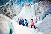Reisende erkunden Neuseelands berühmten Franz-Josef-Gletscher. Blaues Eis, tiefe Gletscherspalten, Höhlen und Tunnel markieren das sich ständig verändernde Eis; Westküste, Neuseeland