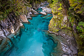 The Blue Pools of Makarora offer enticing blue waters to swim in, South Island, Mount Aspiring National Park; Makarora, New Zealand