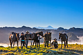 The Blue Duck lodge located in the Whanganui National Park is a working cattle farm with a focus on conservation. Travelers take horses to a scenic viewpoint to watch the sunrise over the rainforest; Retaruke, Manawatu-Wanganui, New Zealand