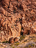 Die Felsen des Red Rock Canyon in der Nähe von Las Vegas; Nevada, Vereinigte Staaten von Amerika