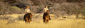 Two women riding horses (Equus ferus caballus) traveling through the bush at the Gabus Game Ranch turning to look at antelope in the background; Otavi, Otjozondjupa, Namibia