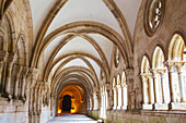 Gewölbter Kreuzgang des historischen Klosters Alcobaca; Alcobaca, Region Oeste, Zentralportugal.