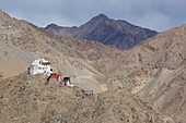 Tsemo Gompa (Namgyal Tsemo Kloster) oberhalb des Leh Palastes (ehemaliger Königspalast) von Leh im Industal, durch das Himalaya Gebirge der tibetischen Hochebene in Ladakh, Jammu und Kaschmir; Leh, Ladkah, Indien