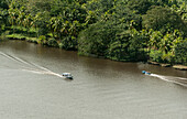 Boote fahren durch einen Fluss im Tieflandregenwald im Tortuguero-Nationalpark; Provinz Limon, Costa Rica.