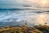 Sunrise over the Caribbean Sea on Costa Rica's eastern coastline with the sea surf rushing the sandy shoreline of Tortuguero and seaweed lines the water's edge; Limon Province, Costa Rica