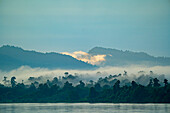 Morgennebel über den mit Dschungel bedeckten Ufern des Ayeyarwady (Irrawaddy) Flusses in der Morgendämmerung; Ländlicher Dschungel, Kachin, Myanmar (Burma)