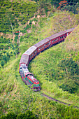 Bergzug auf der Demodara-Schleife im Bergland; Demodara, Bergland, Sri Lanka.