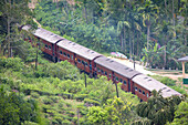 Bergzug auf der Demodara-Schleife im Hügelland; Demodara, Hügelland, Sri Lanka