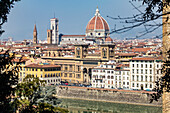 Skyline with the famous red brick dome of Cathedral of Santa Maria del Fiore, The Duomo, and Giotto's Bell Tower in the Historic Center of Florence; Florence, Tuscany, Italy